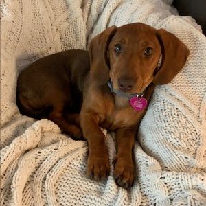 Meet your Posher, Crystal